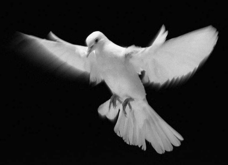 Biblical Imagery: The Metaphorical Symbols of the Holy Spirit