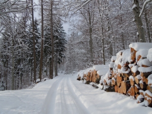 Winter 2014: Other Significant Articles