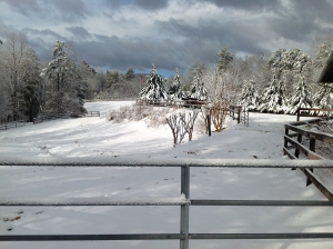 Winter 2005: Other Significant Articles
