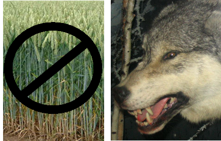 Wolves or Tares?