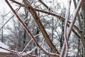 Winter 2004: Other Significant Articles