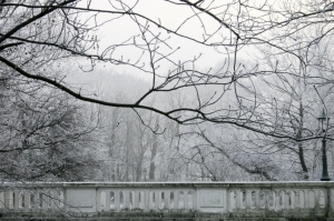 From the Editor’s Desk: Winter 2002