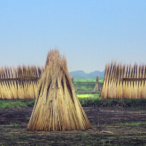 In Witchbound Africa