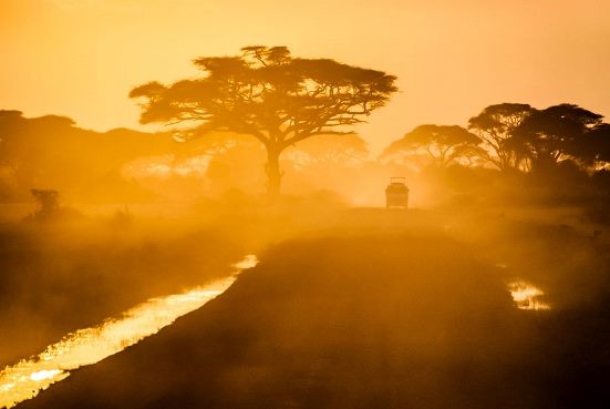 Anti-Racist Strategies in the West Perpetuate Global Poverty: A Critique from Africa
