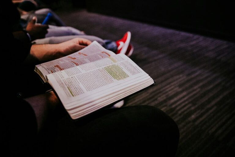 Insights on Bible Interpretation