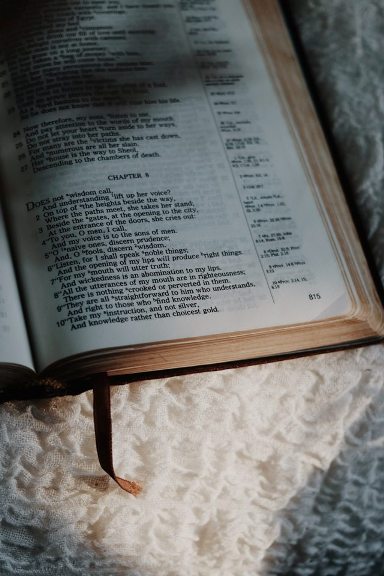 Leaders Use Godly Wisdom to Control their Authority